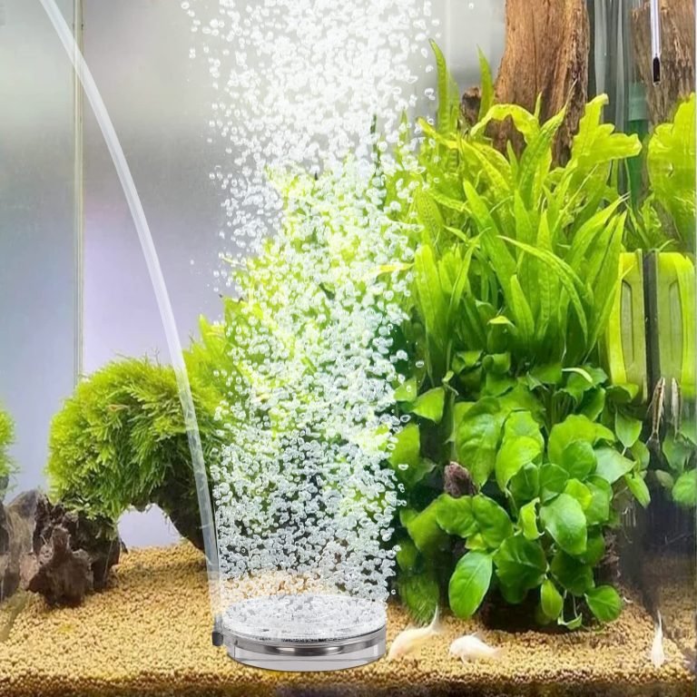 air stone omitting bubbles in a fish tank