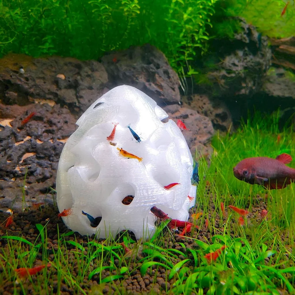 Shrimp-specific hiding cave. To make guppies and shrimp compatible, you'll need to include hiding spaces where guppies can't get to the shrimp