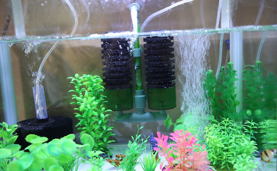 sponge filter in action in a fish tank