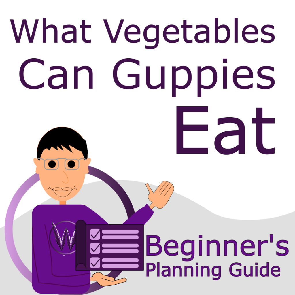 what vegetables can guppies eat cover photo