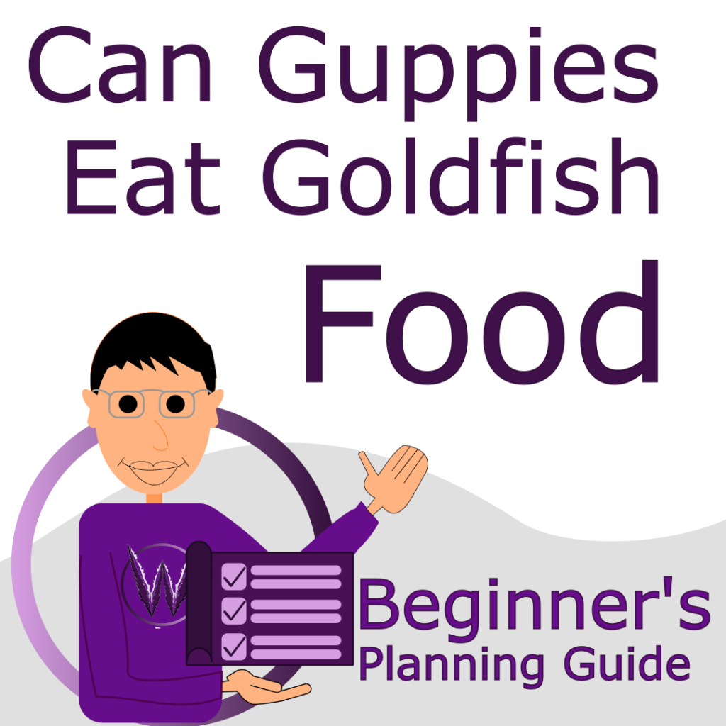 can guppies eat goldfish food cover photo