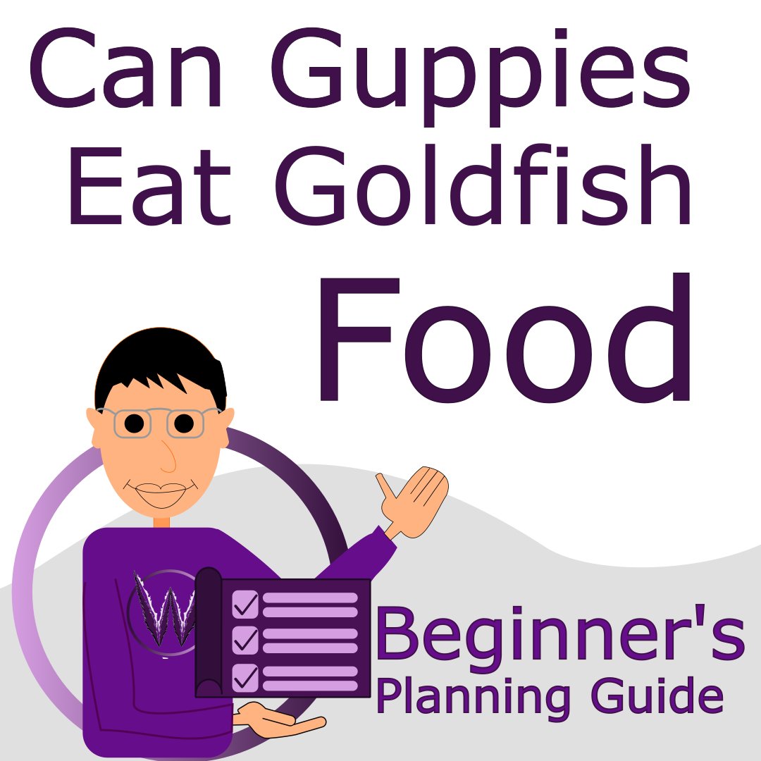 Can Guppies Eat Goldfish Food? Wild Pet Expert